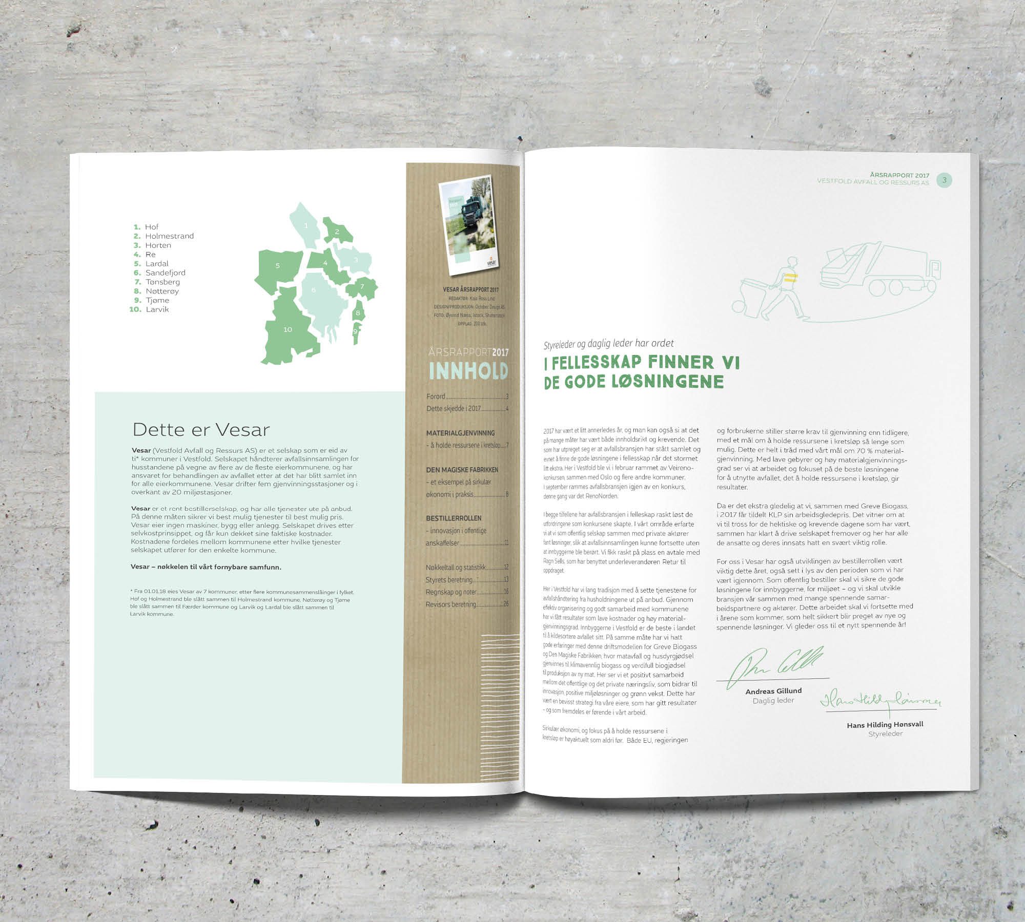 Årsrapport VESAR 2017 – bilde 2