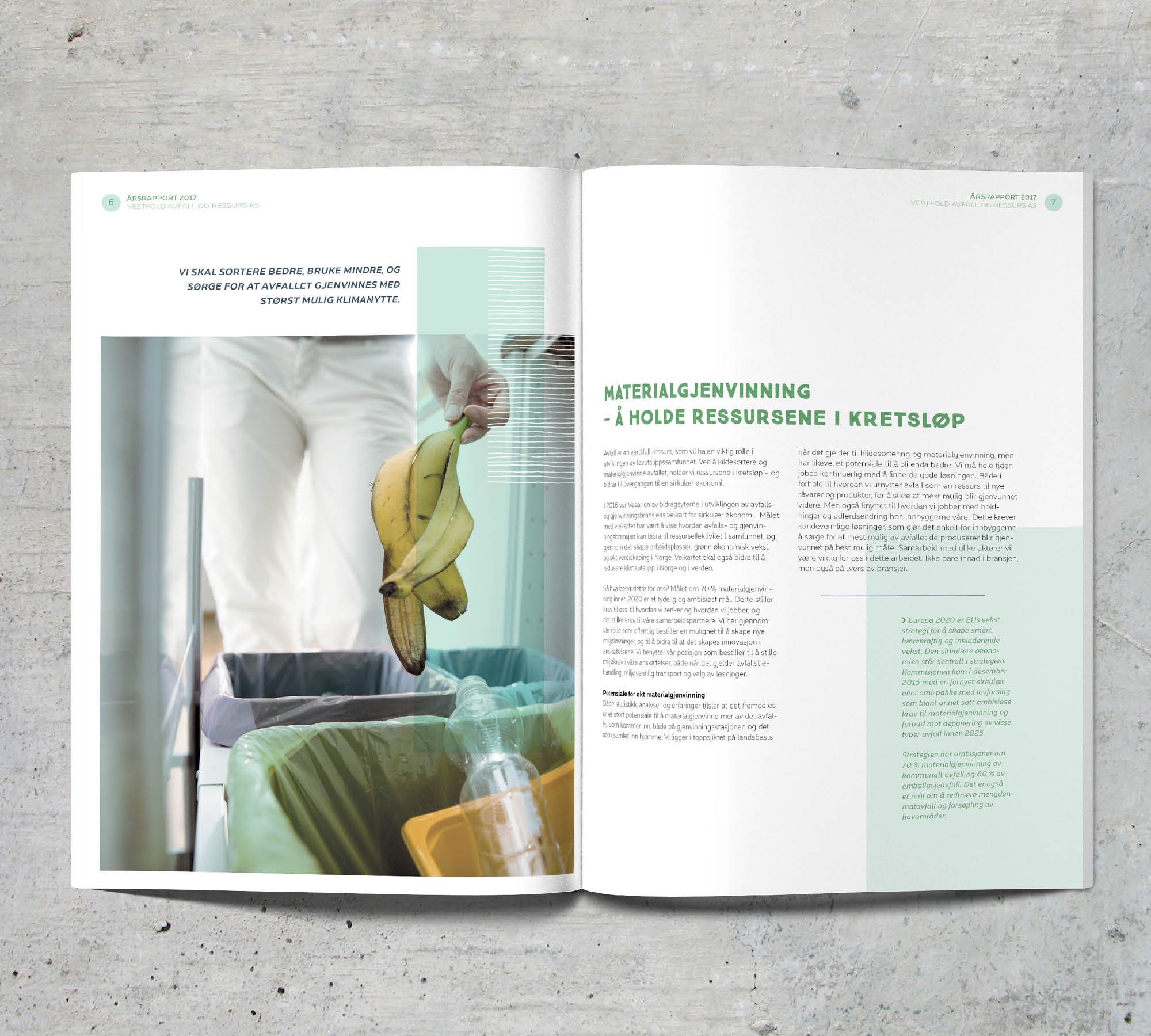Årsrapport VESAR 2017 – bilde 4
