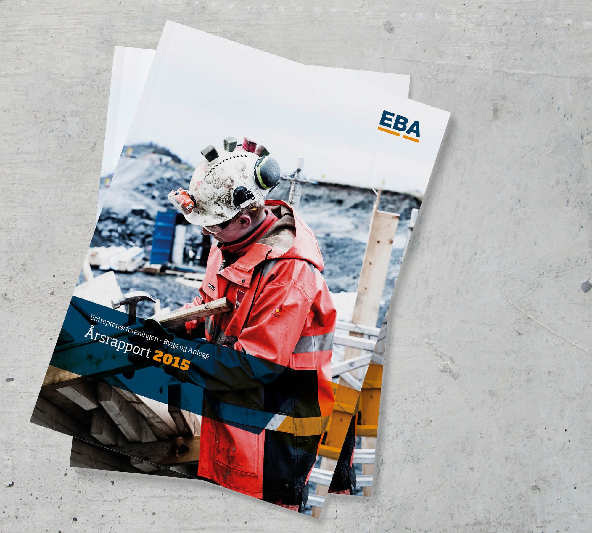 EBA årsrapport 2015 – bilde 1