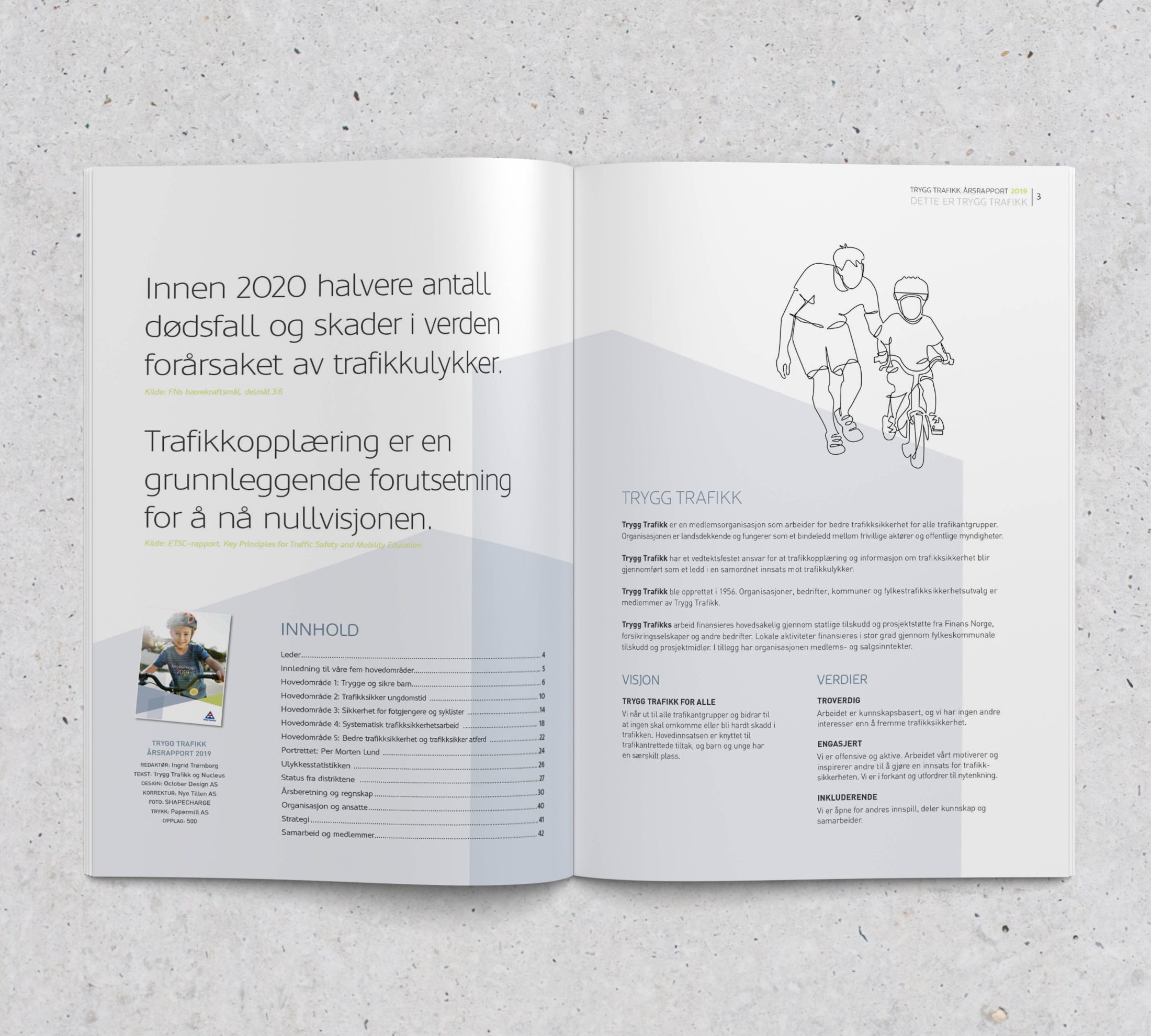 Trygg Trafikks årsrapport 2019 – bilde 2