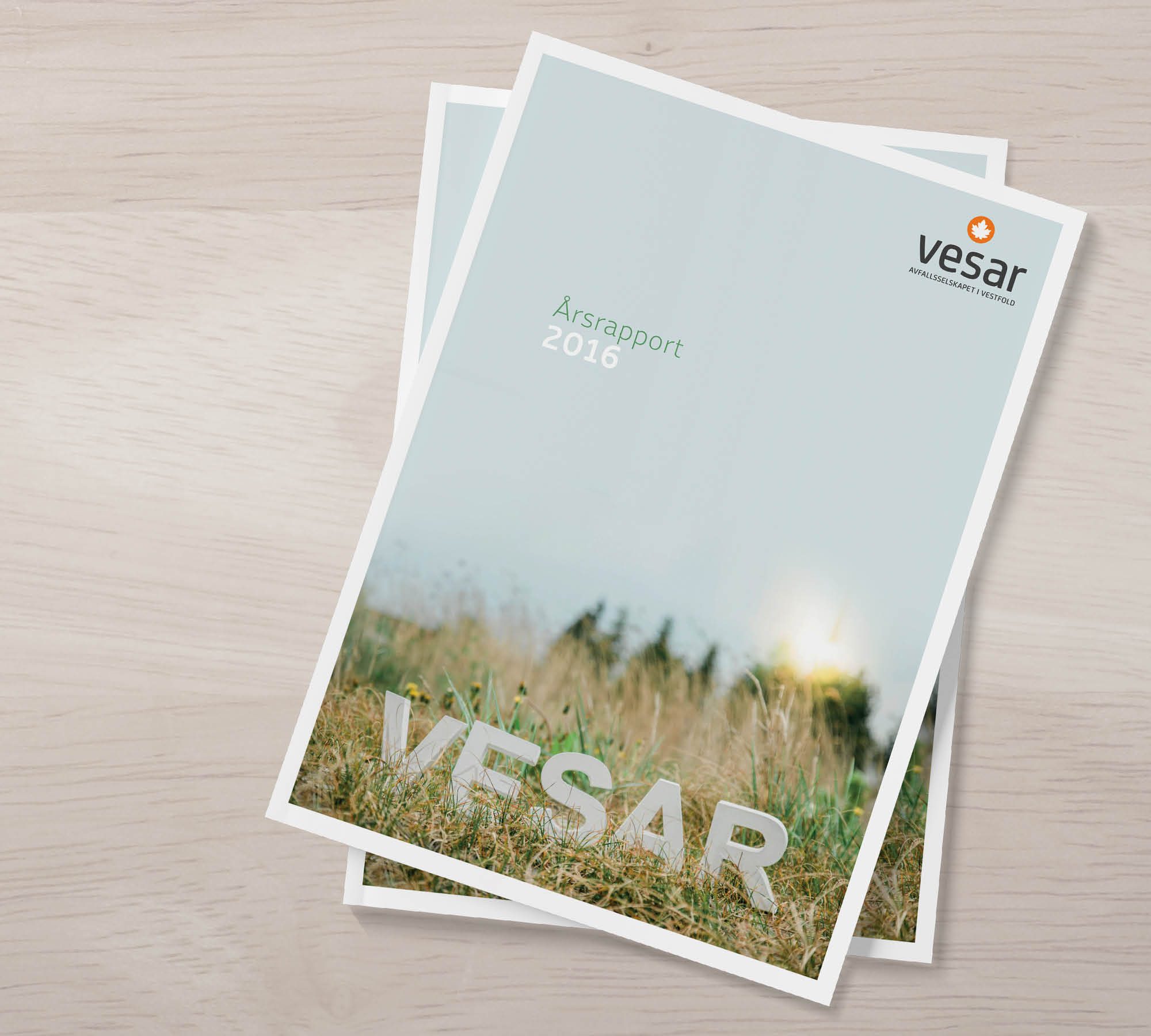 Vesar årsrapport 2016 – bilde 1