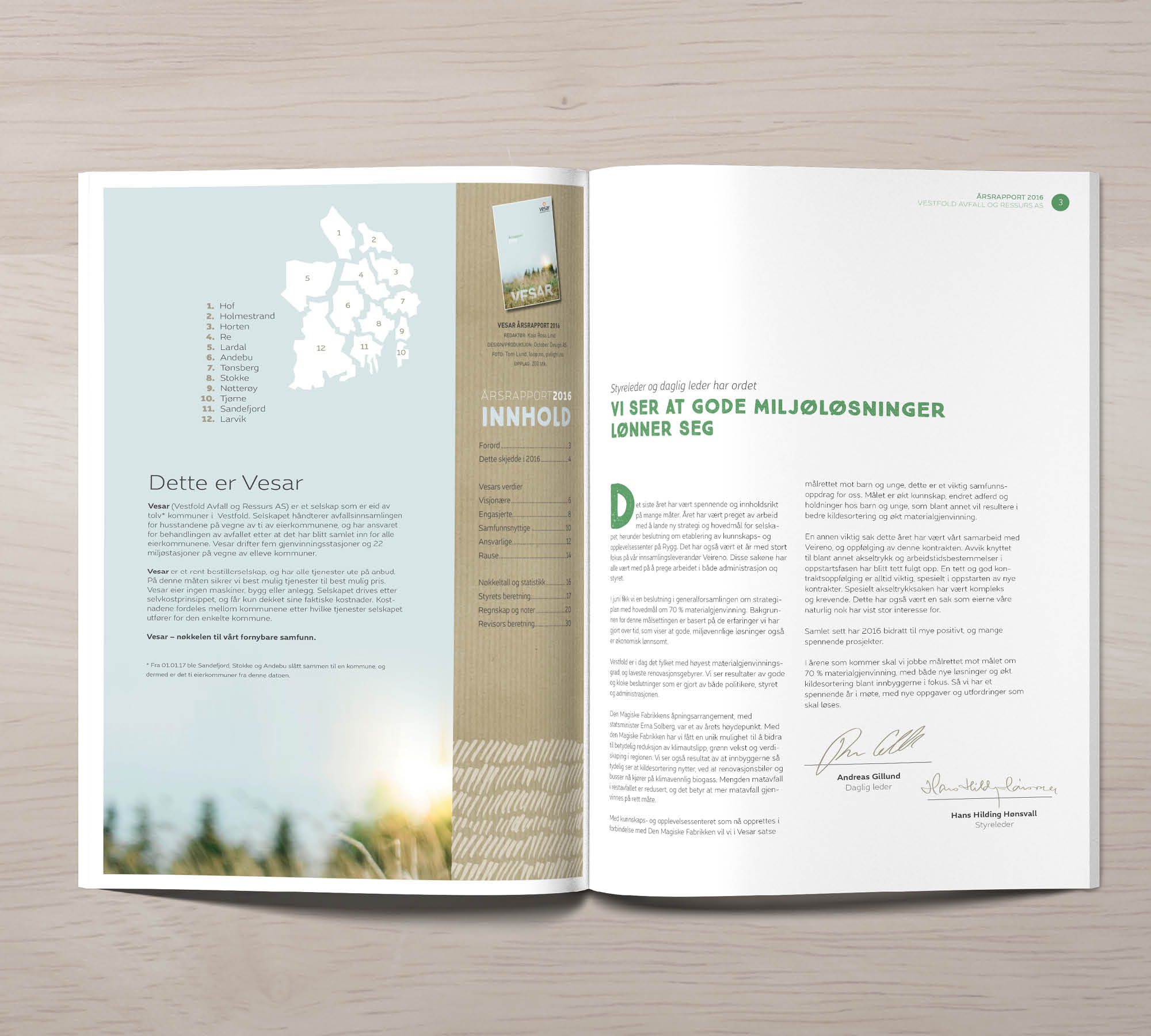 Vesar årsrapport 2016 – bilde 2