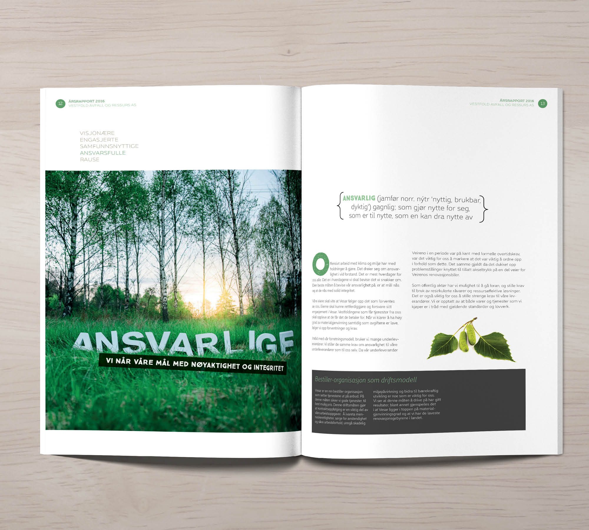 Vesar årsrapport 2016 – bilde 3