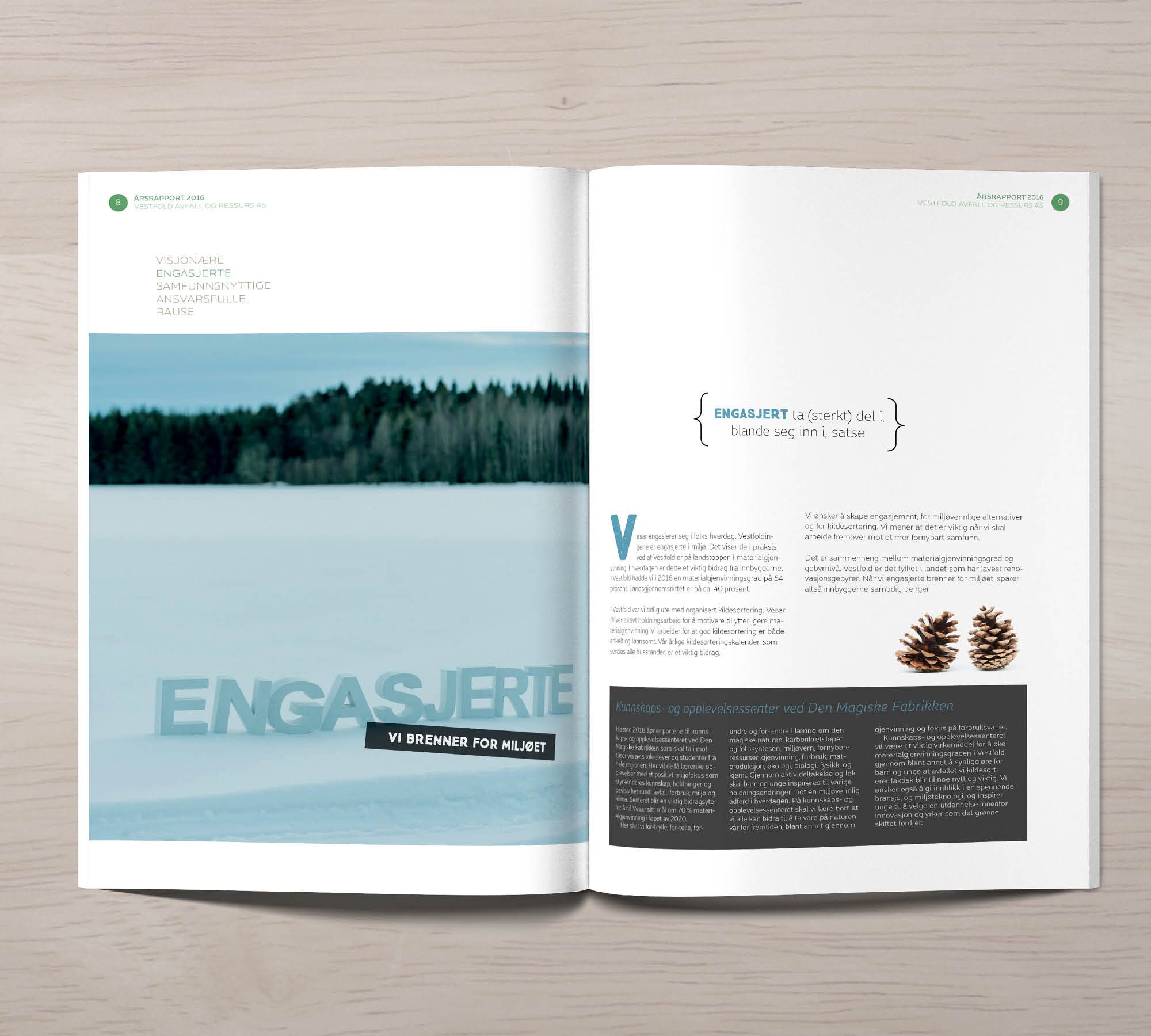Vesar årsrapport 2016 – bilde 5